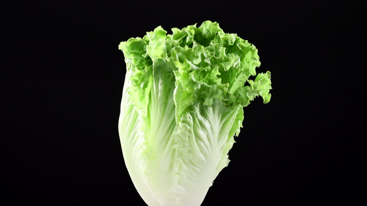 lechuga verde cruda fresca girando sobre un fondo negro