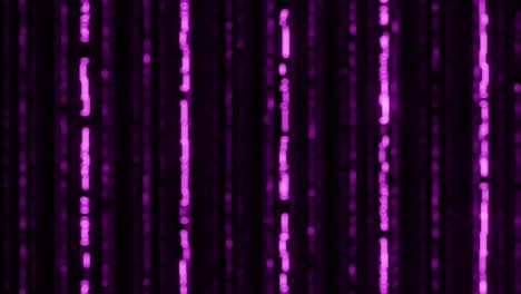 matrix style binary code pink background. the camera moves through the falling sighs. data code, decryption and encoding, cyber technology. 4k seamless loop animation