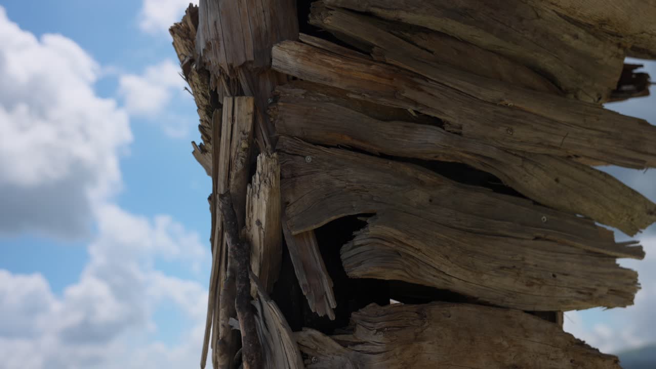 Close up of driftwood outdoor sculpture, Vaia Eagle in Altopiano, Italy