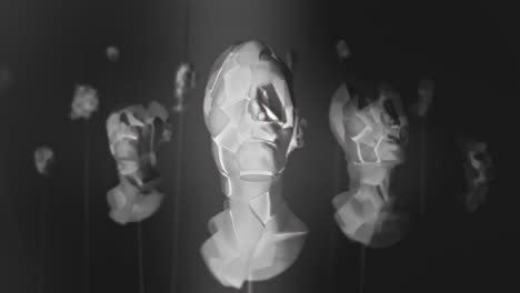 broken mannequin head shells in xray