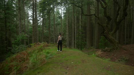 Mädchenmodell-Beim-Spaziergang-Im-Wald-Auf-Madeira,-Portugal