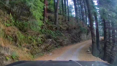 adventurous and dangerous ride on 4x4 suv, through wildlife sanctuary in mountains