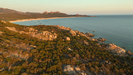 drone dolley shot of a dense forest at corsica with bay of roccapina in the background