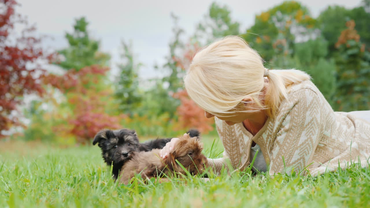 강아지 두 마리와 노는 여자
