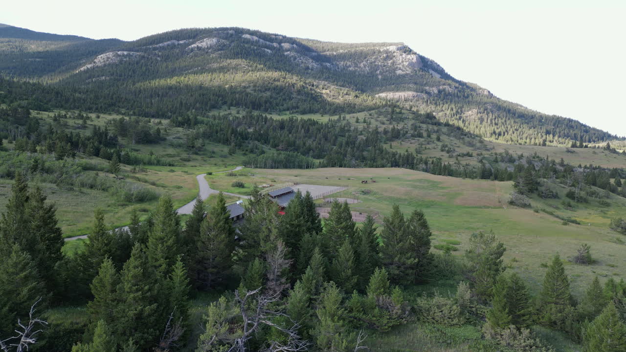 сторона скалистой скалы поднимается к расчистке в вечнозеленом лесу с горой и голубым небом 4к