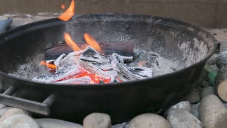 timelapse of a fire going through the stages for a barbeque