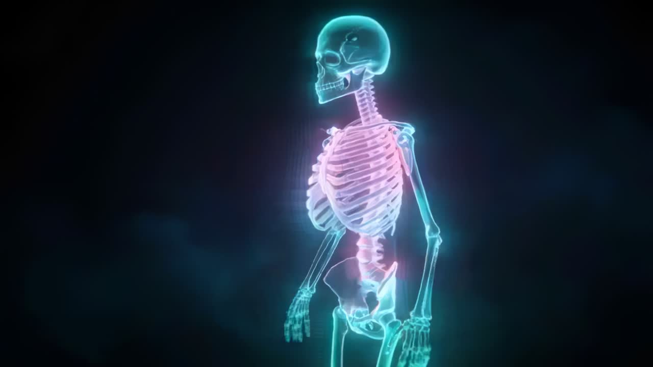 Rotating neon skeleton with loop starting turning right in misty void pulsing ribcage and spine