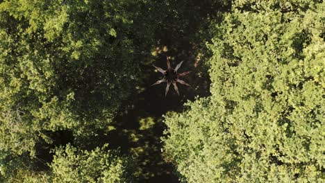 a group of people forming a star shape lying on the ground naked in the middle of the lush rainforest - aerial drone rotating shot