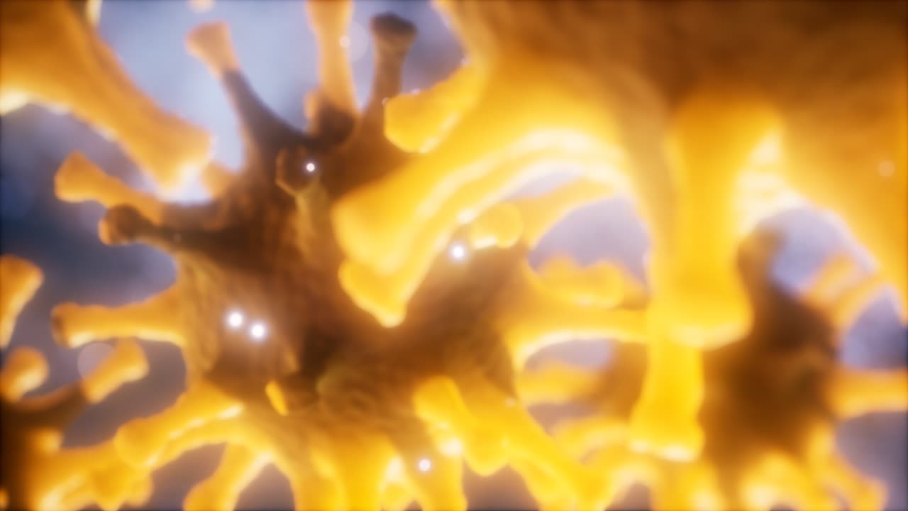 코로나 바이러스 ncov 호흡기 바이러스 개념