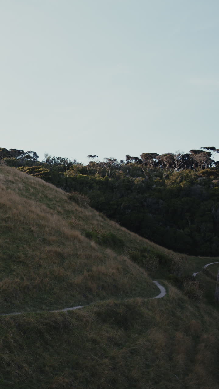 Scenic Hillside Trail with Forest