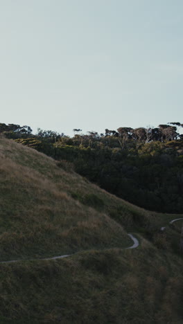 scenic hillside trail with forest