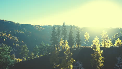 Mountain-valley-with-pine-forest-against-the-distant-ridges