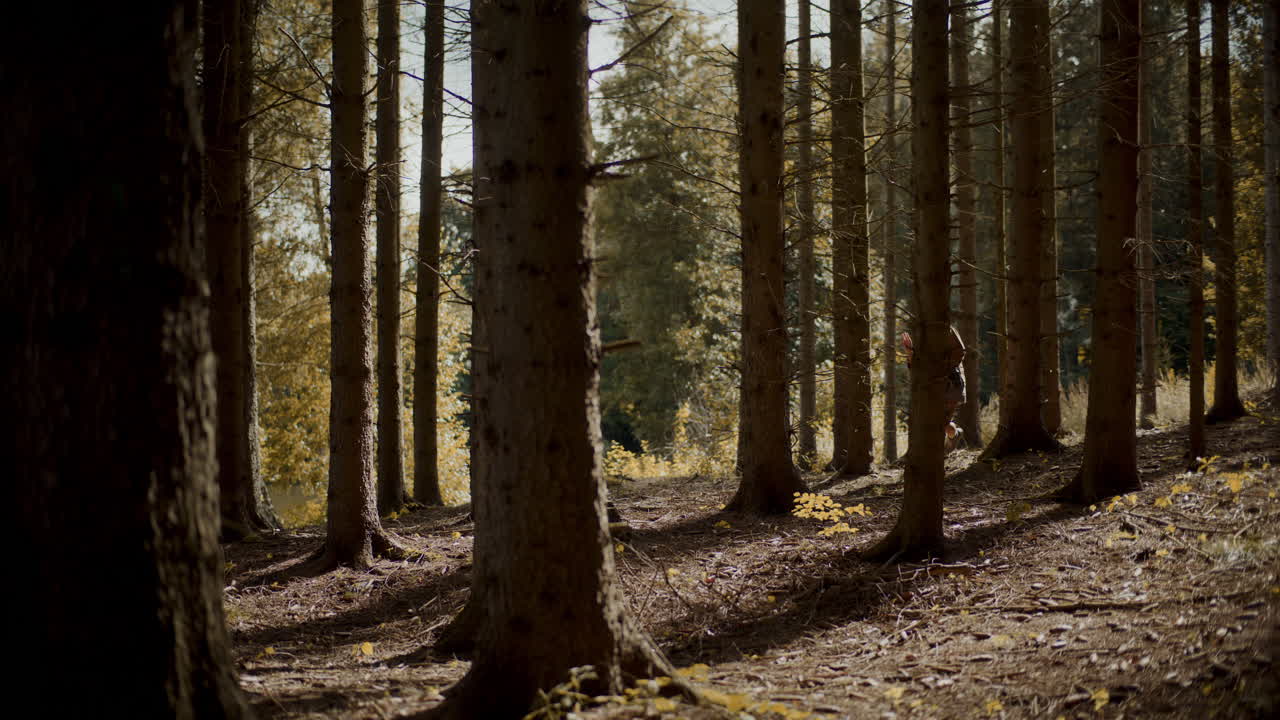 Giovane donna che cammina tra gli alberi nel bosco in vacanza