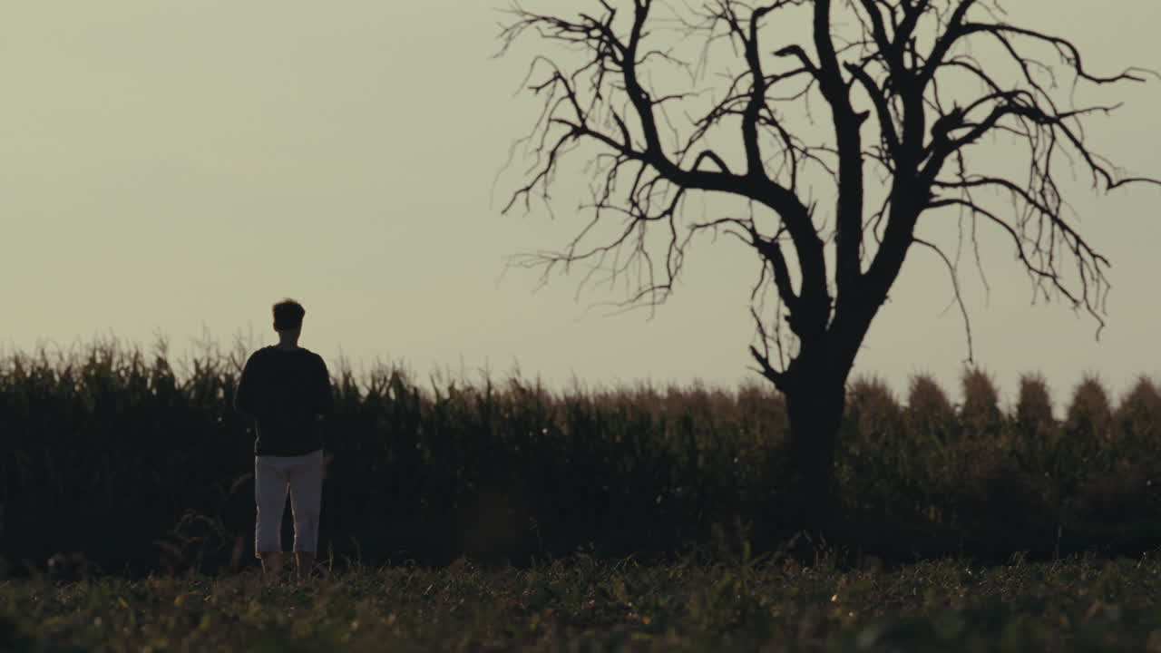 Lone Figure and Bare Tree Silhouette in a Rural Field at Dusk