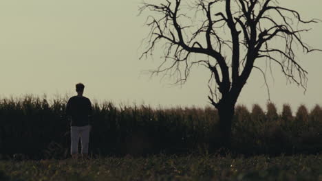 lone figure and bare tree silhouette in a rural field at dusk