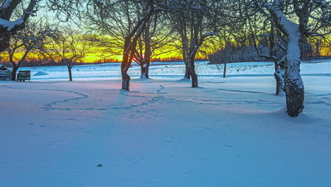 Lapso-De-Tiempo-Del-Amanecer-En-El-Paisaje-Helado-Del-País-De-Las-Maravillas-Invernales-En-Los-Bosques-De-Letonia