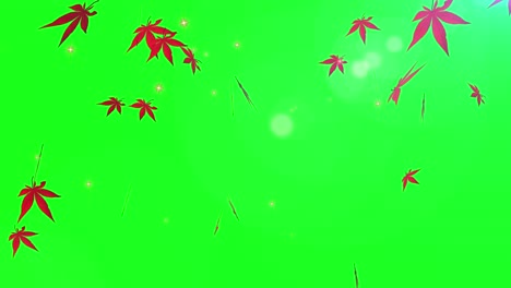 autumn maple leaves particle loop animation green screen