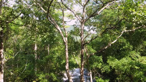 Flying-through-the-treetops,-a-view-of-Minca,-Colombian-jungle