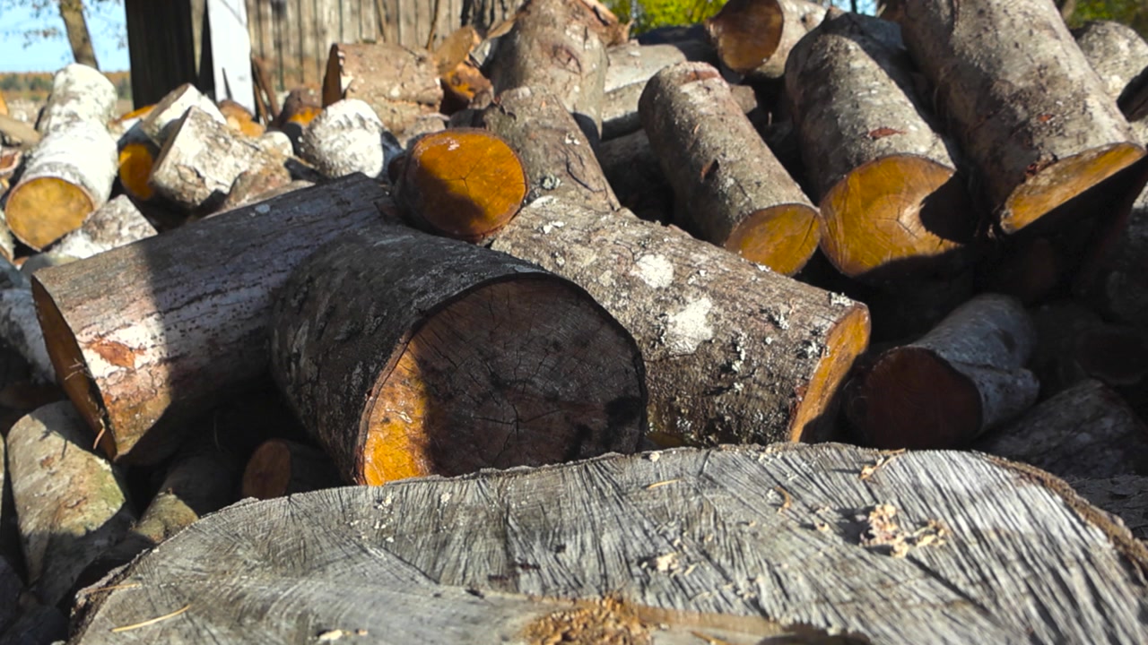 Metraje en primer plano de troncos de árboles y madera cortada en un jardín o patio durante un día soleado en otoño o finales de verano. Listos para ser convertidos en leña, con marcas de sierra visibles en los pinos y abedules.