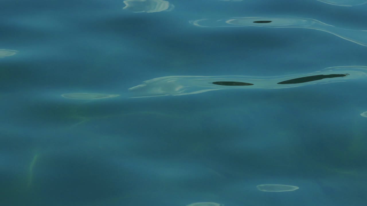 부드러운 파도가 조용한 바다를 가로질러 파동합니다.