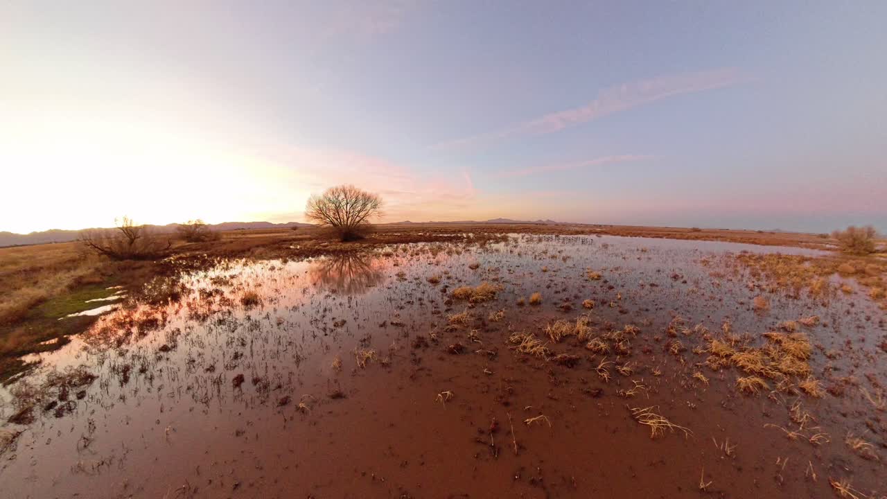 Strålende solnedgang i gyldenbrune nuancer ved en ørkensø i Arizona.