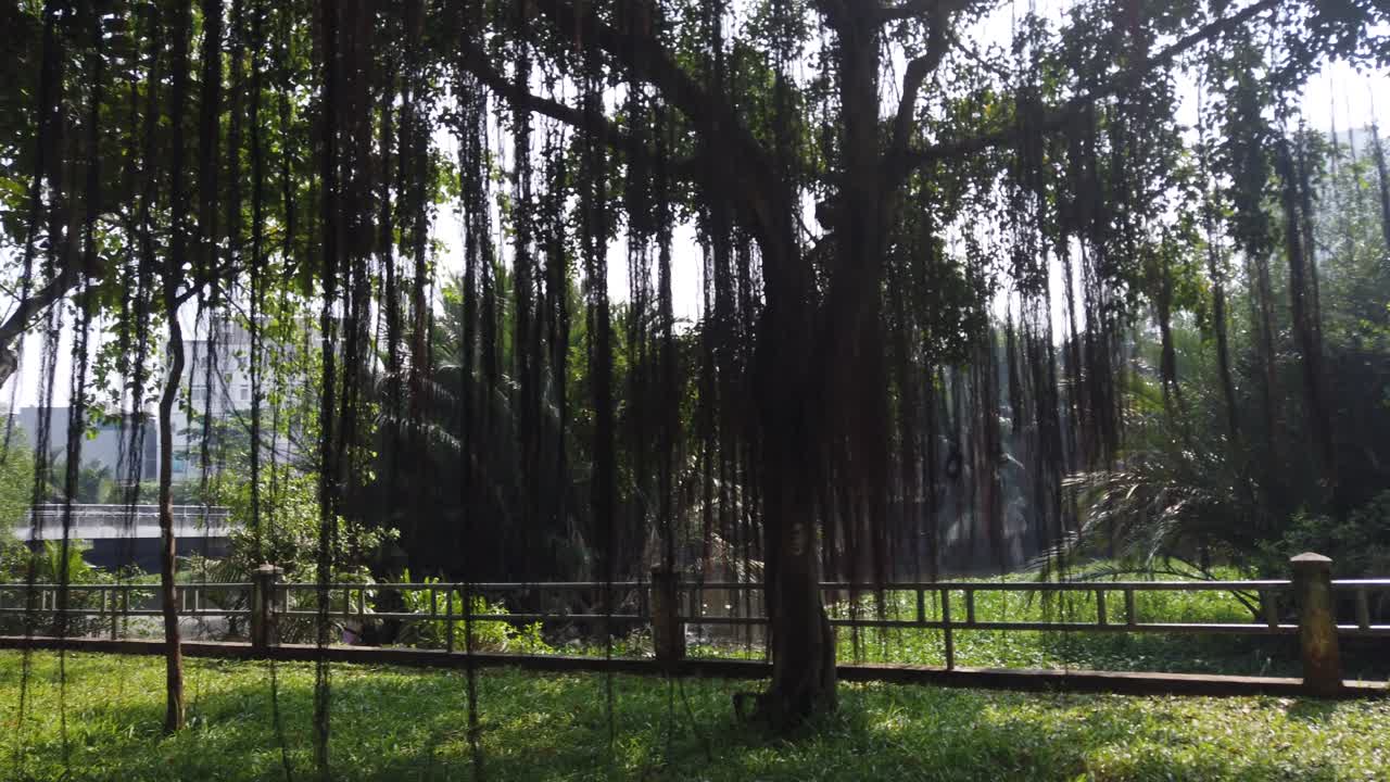 맑고 화창한 날 큰 그늘진 나무와 호수가 있는 멋진 공원