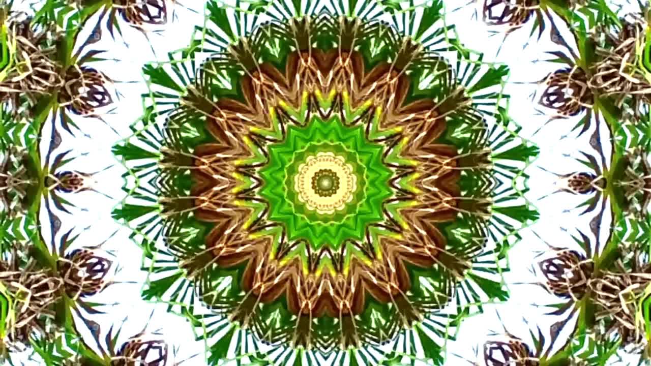 video astratto che brilla, luce brillante che organizza sottili movimenti colorati con una forma di fiore, sfondo nero