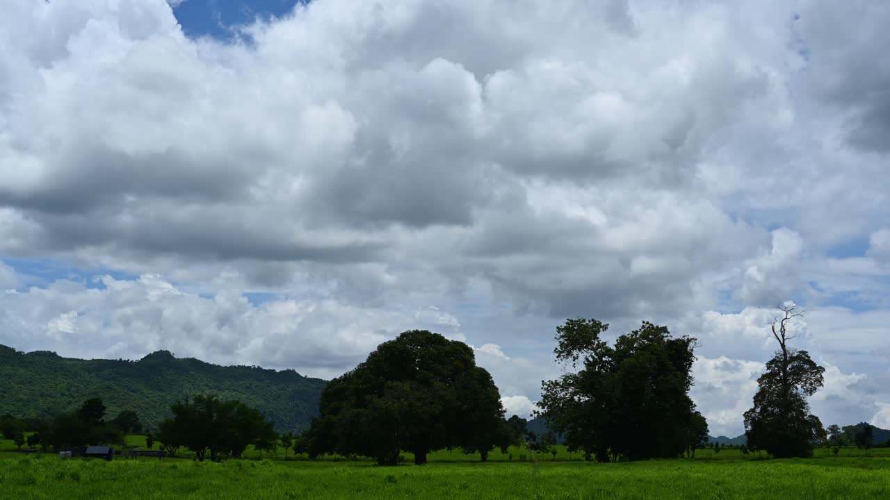 Padang Rumput dan Pepohonan dengan Sebuah Lumbung Kecil
