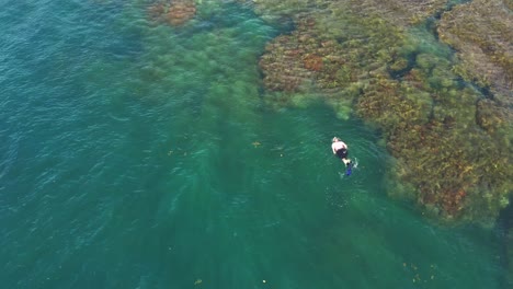 Vista-Aérea-Sobre-La-Natación-Del-Buzo---Explorando-El-Paisaje-Oceánico-De-Los-Arrecifes-De-Coral-De-Panamá