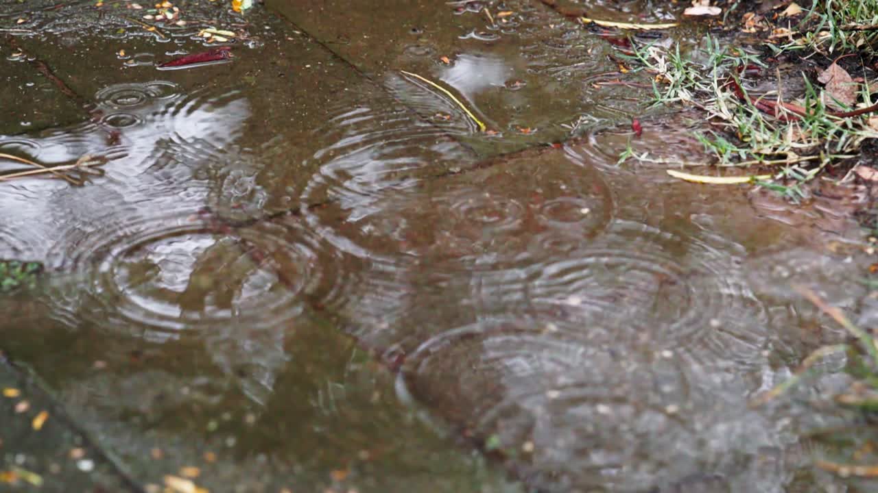 Slow motion shot of raindrops forming ripples in a puddle, each drop creating gentle waves across the water’s still surface.