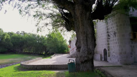 Descubre-La-Belleza-De-Los-Molinos-De-Sabandía-Al-Atardecer-Detrás-De-Un-árbol