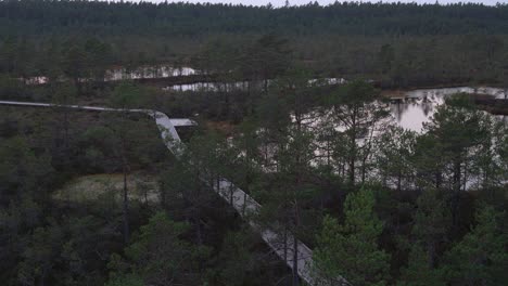 Viru-bog-hiking-trail-from-the-observation-tower