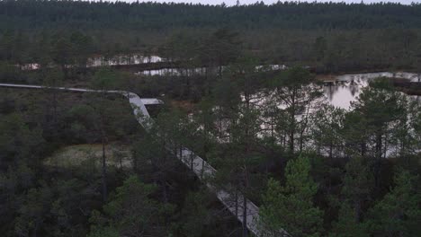 el sendero de senderismo de viru bog desde la torre de observación