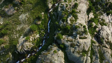 mountain water stream in valmalenco valley of valtellina in summer season, northern italy