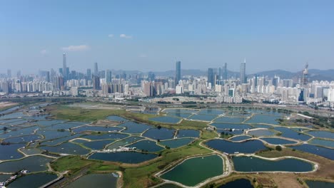 Vista-Aérea-Sobre-El-Horizonte-De-Shenzhen-En-Un-Hermoso-Día-Claro