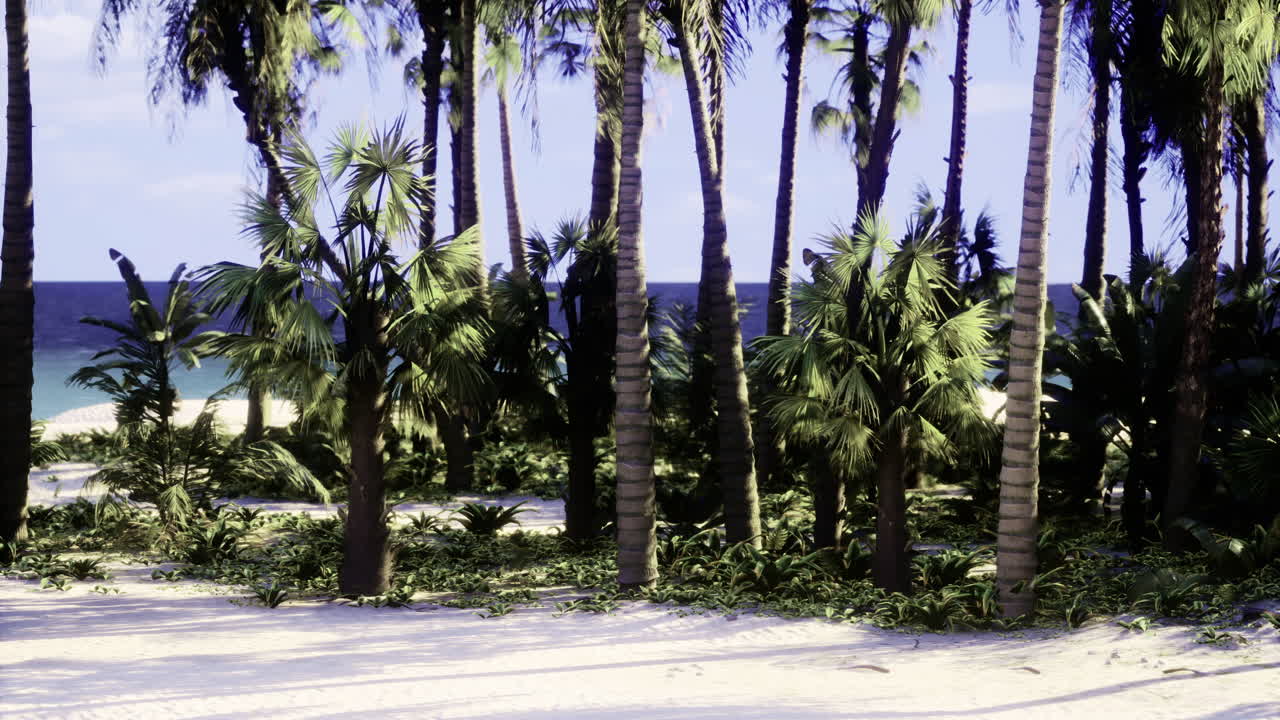 Tropical beach with palm trees and lush greenery under clear sky
