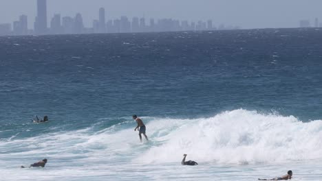 surfers enjoy waves with urban skyline backdrop