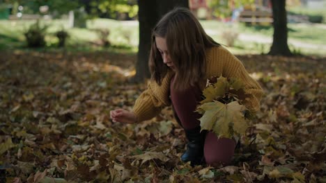 little girl making autumn bouquet in public park.