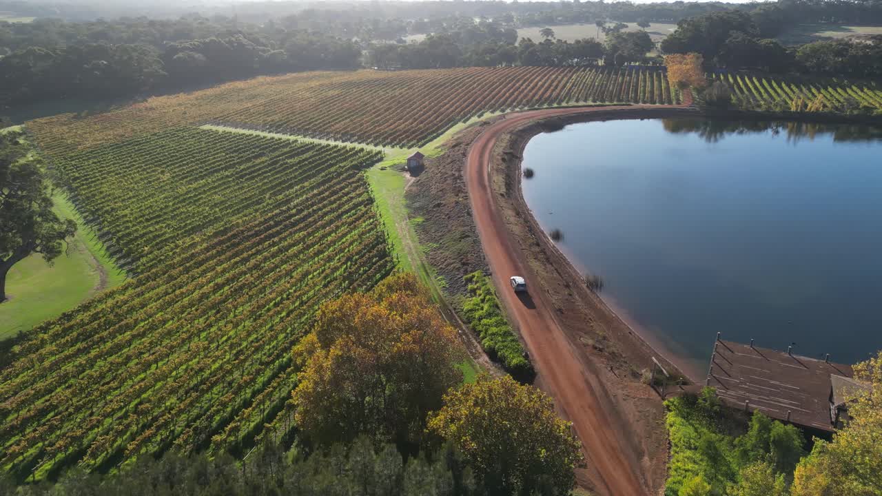 Auto che guida al tramonto su una strada rurale lungo i vigneti, Margaret River nell'Australia Occidentale