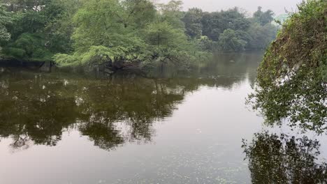 在冬天早晨的森林中, 最前沿的湖泊和山脉