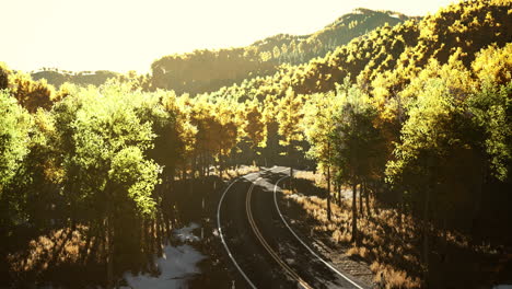 Aerial-view-of-curvy-road-in-beautiful-autumn-forest