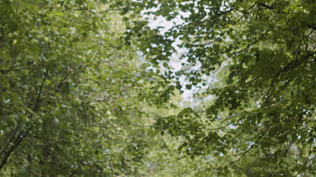 Family walking together in a park
