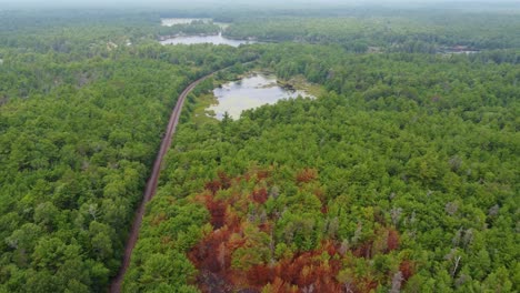 aerial dolly out shot green forest on manbert with naiscoot lake in backgoud dreamy vibe