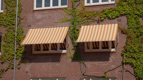 windows on typical houses in city of amsterdam - low angle shot
