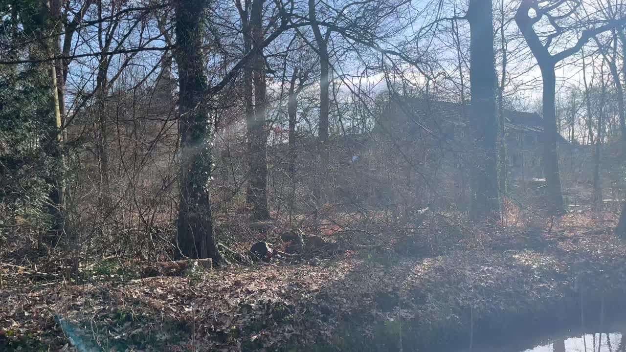 과거의 햇빛 빠른 움직임에 숲 깊은 곳에 오래된 집이 있는 성