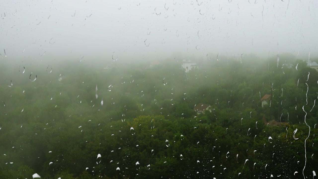 หมอกปกคลุมต้นไม้และฝนตก วิวจากหน้าต่าง หยดฝนบนกระจก