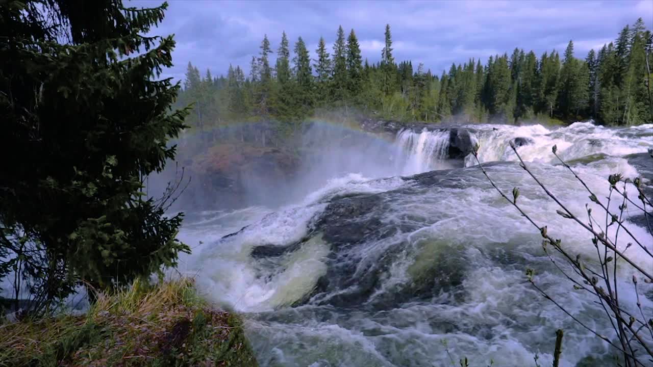 video en cámara lenta la cascada de ristafallet en la parte occidental de jamtland está catalogada como una de las cascadas más hermosas de suecia.