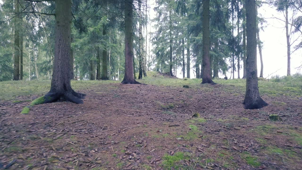 숲 속 의 나무 들 사이 를 날아다니는 드론