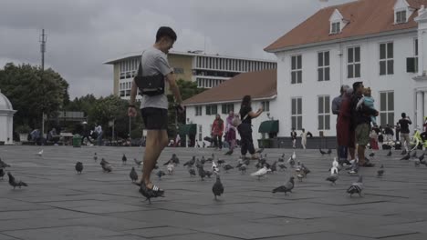 boy kicking a flock of birds at batavia square in jakarta, indonesia