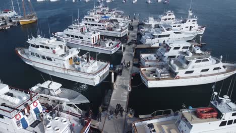 flying over boats at hm landing san diego bay